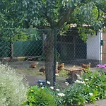 An Der Hainmuehle アパート