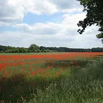 An Der Hainmuehle