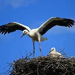 An Der Hainmuehle Lübben