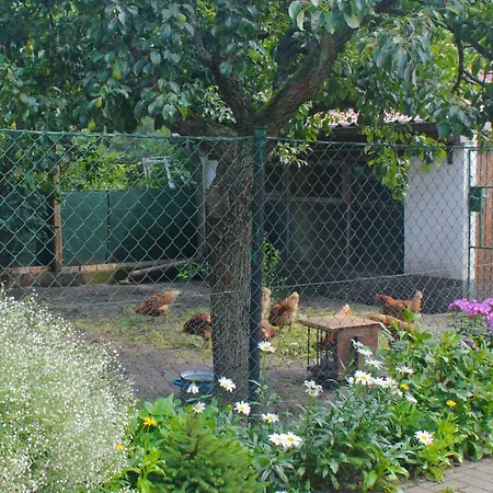 An Der Hainmuehle Apartamento