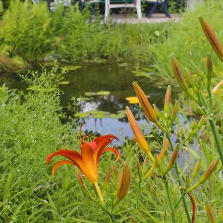 An Der Hainmuehle *