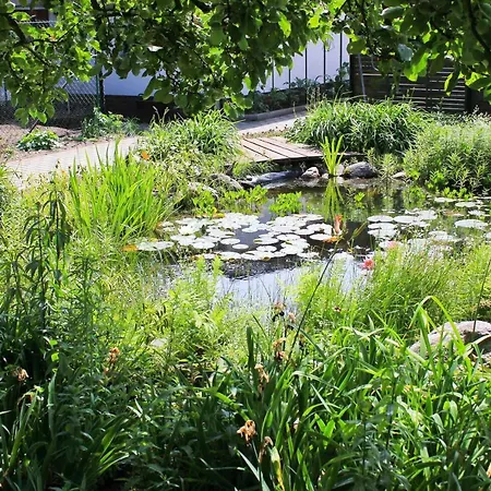 An Der Hainmuehle