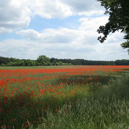 An Der Hainmuehle