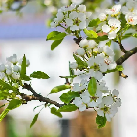 An Der Hainmuehle Appartement Lübben