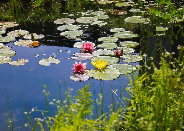 Apartamento An Der Hainmuehle *