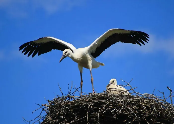 An Der Hainmuehle Lübben