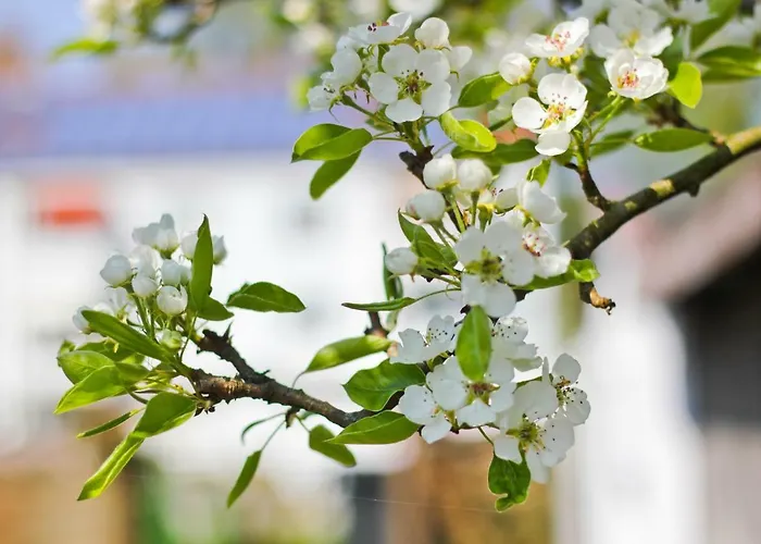An Der Hainmuehle Apartamento Lübben