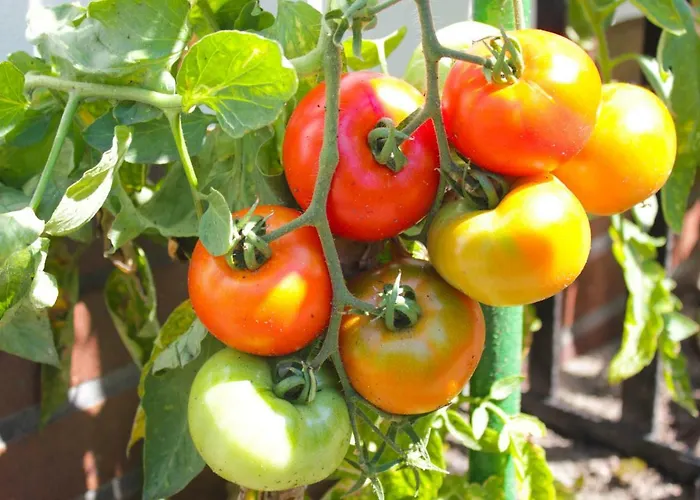 An Der Hainmühle Lübben